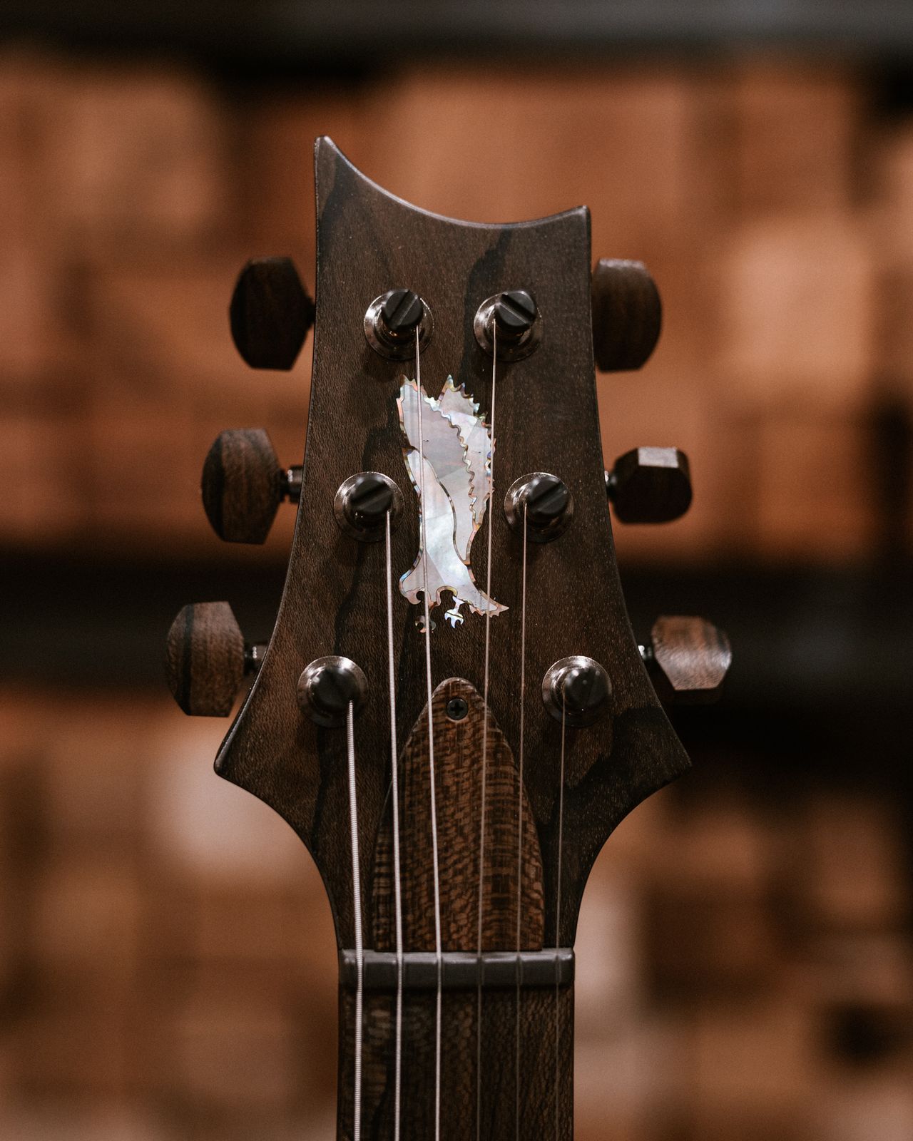 PRS's new PRS Private Stock Special Semi-Hollow guitar
