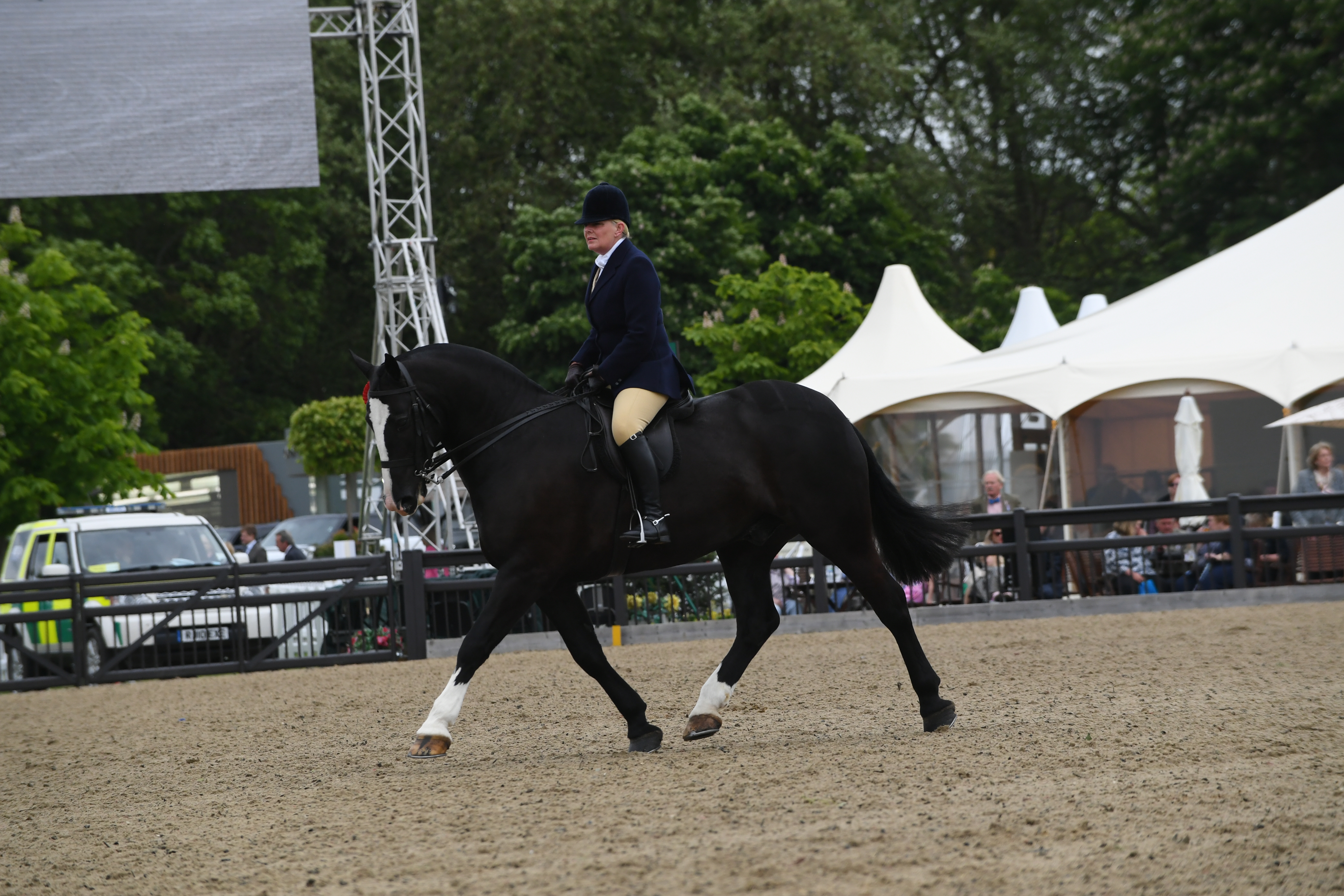 Whitegate-Dazzler_RWHS_PN18_22136.jpg