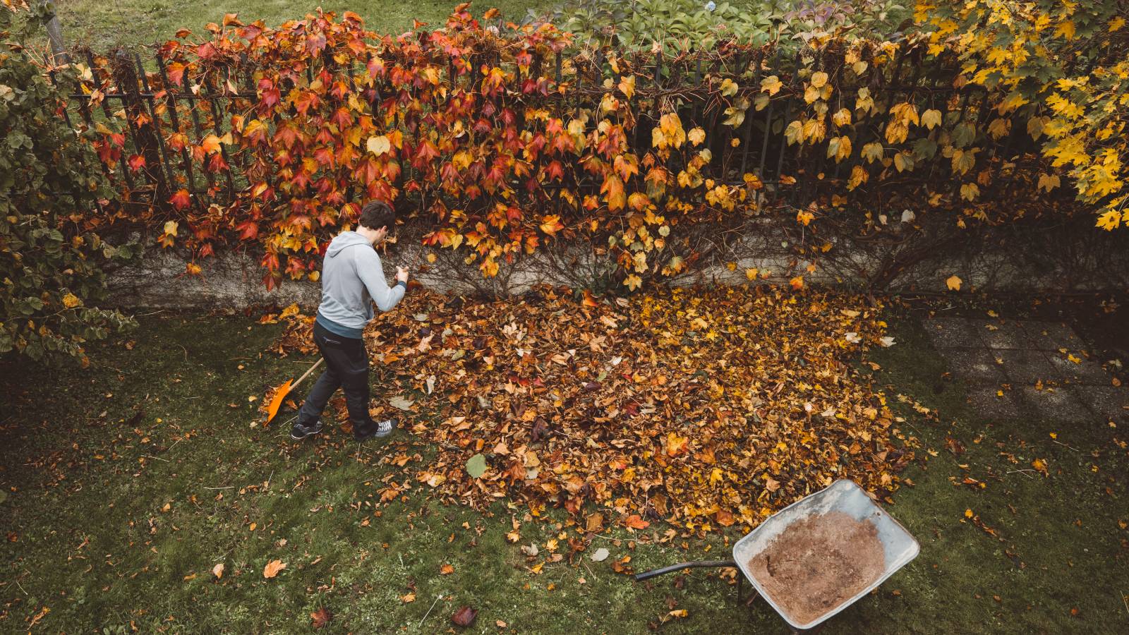 A man next to a fence raking fall leaves