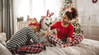 A husky sat on a bed cuddling with two children in pyjamas, everyone is wearing christmas accessories.