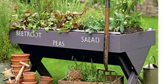 garden with vegetable planter to show a sustainable garden idea