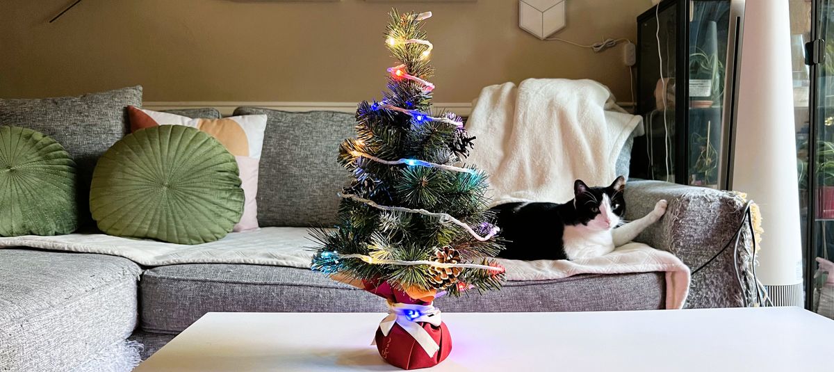 Govee Christmas String Lights on a small tree during testing