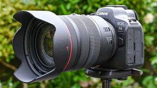 The 5 Best Cameras For Photography - Spring 2024: Reviews 