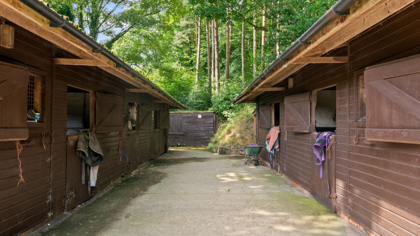 Stream Farm GU26-029