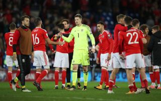 Wales' route to the 2018 World Cup was halted by the Republic of Ireland