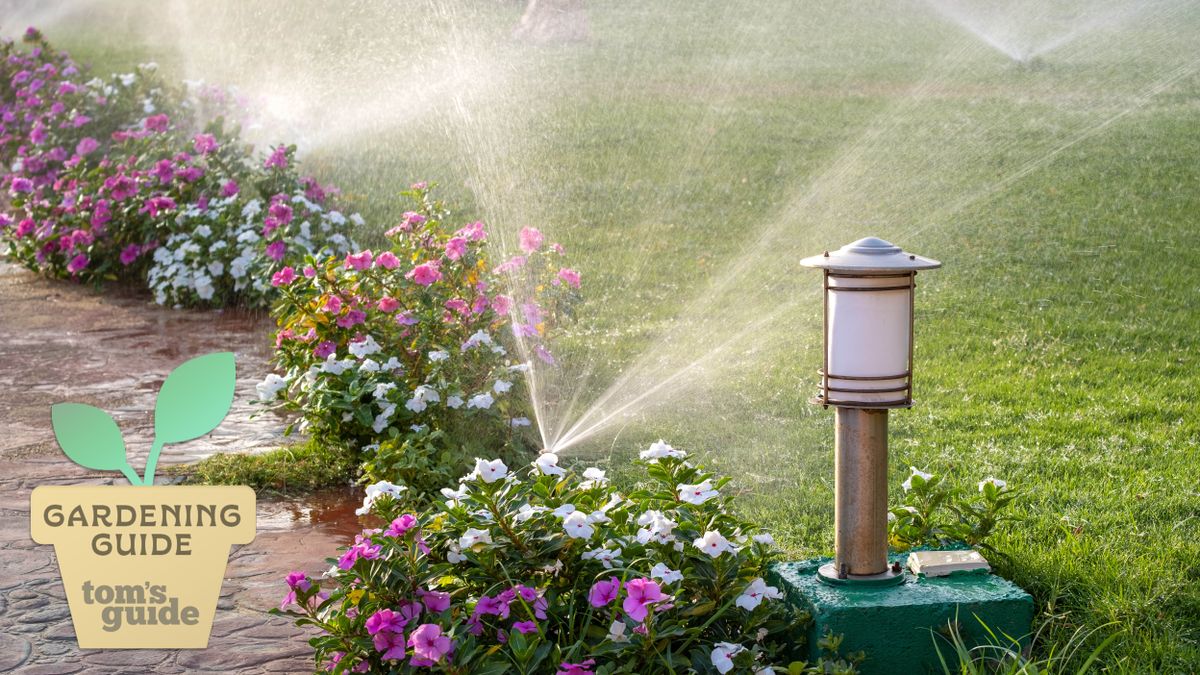 5 things to consider before buying a water sprinkler system, according ...