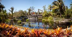Naples, Florida