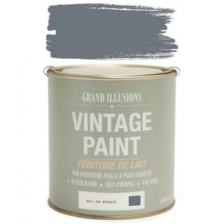 Vintage Paint in Fossil