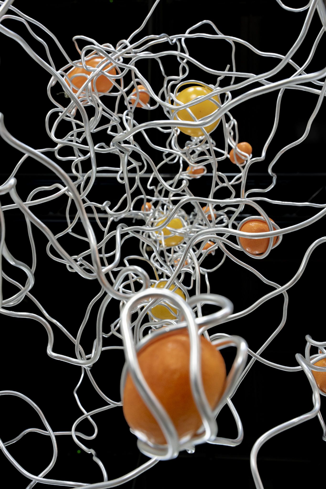 Cherry tomatoes trapped in a silver web.
