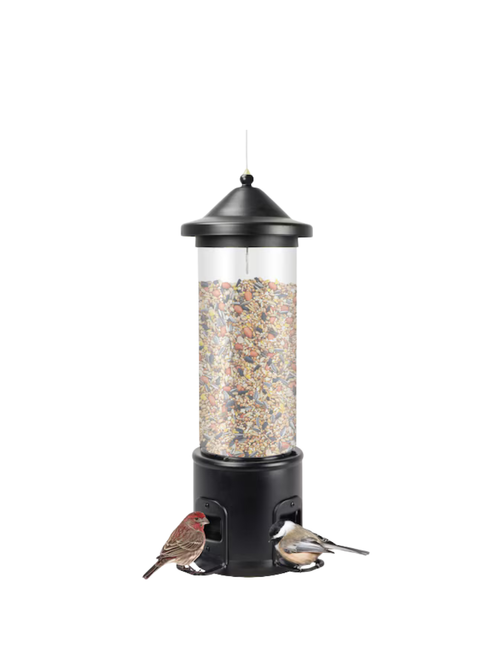 Steel Hanging Squirrel-Resistant Tube Bird feeder