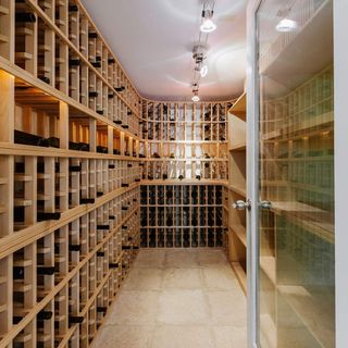 room with wine cellar