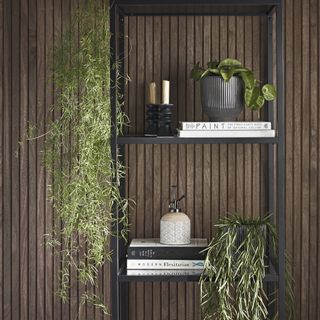 A fluted wooden wall with a black storage unit on it, decorated with books, candles and different house plants