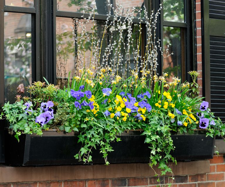 Spring window box ideas 8 looks for a front yard glowup Homes and
