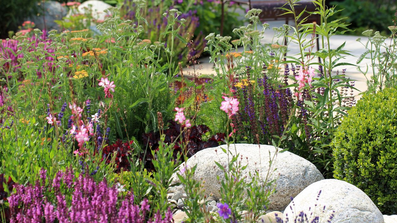 small rock garden ideas: colourful flowers in rockery