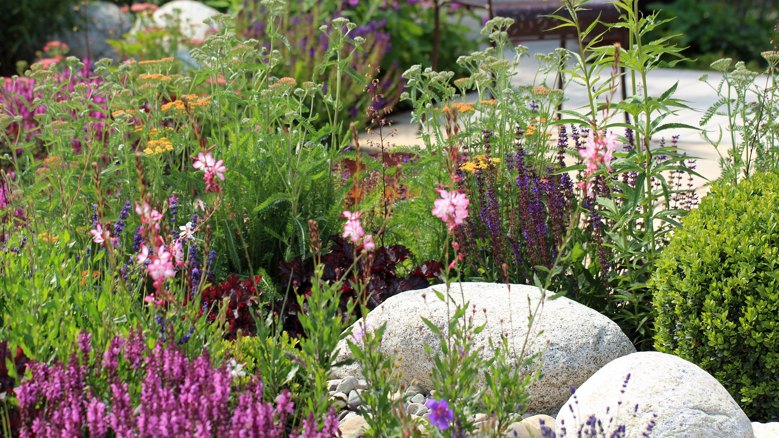 Small rock garden ideas 21 ways with alpine plants, succulents ...