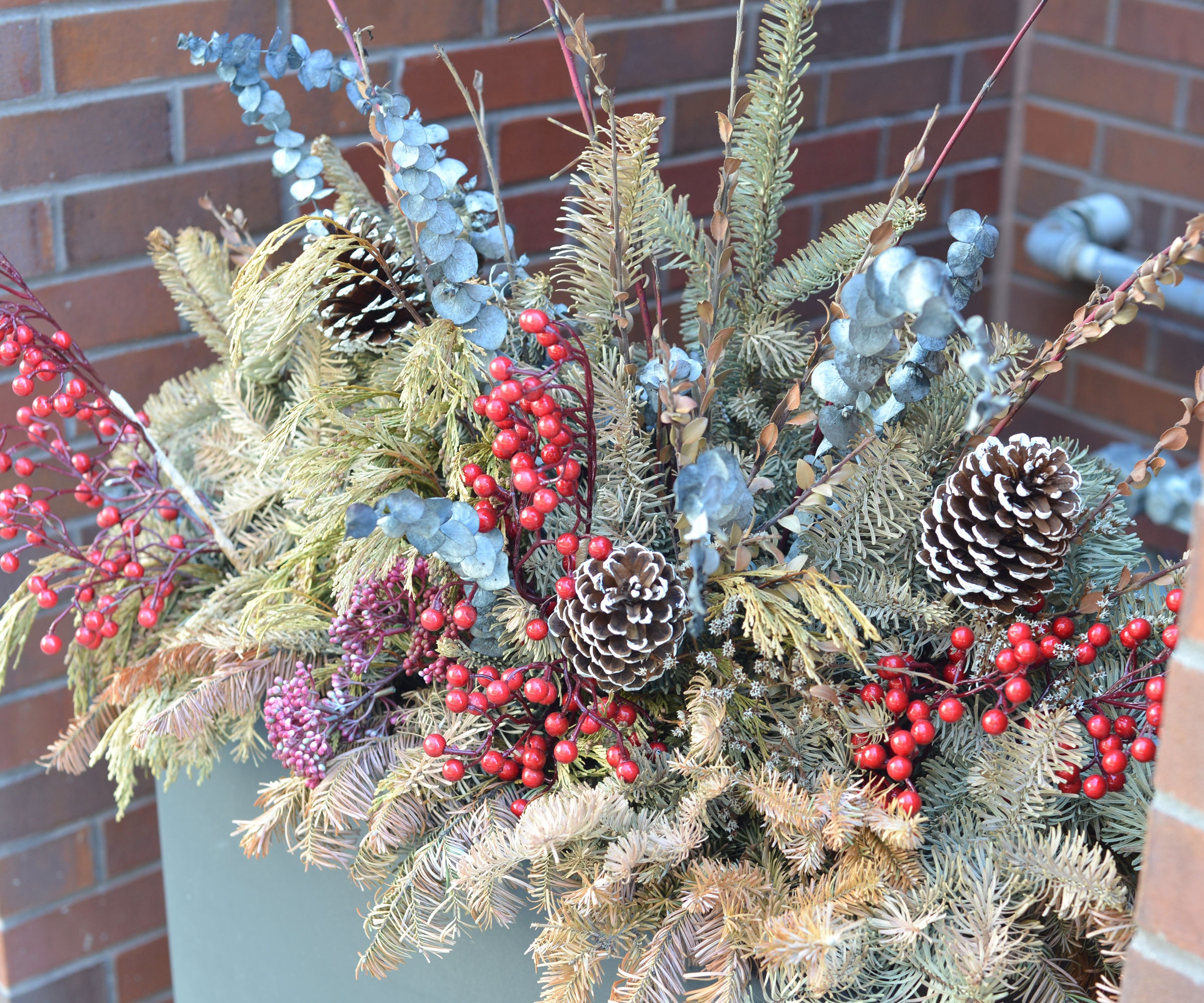 Christmas thriller filler spiller container with berries and pine cones
