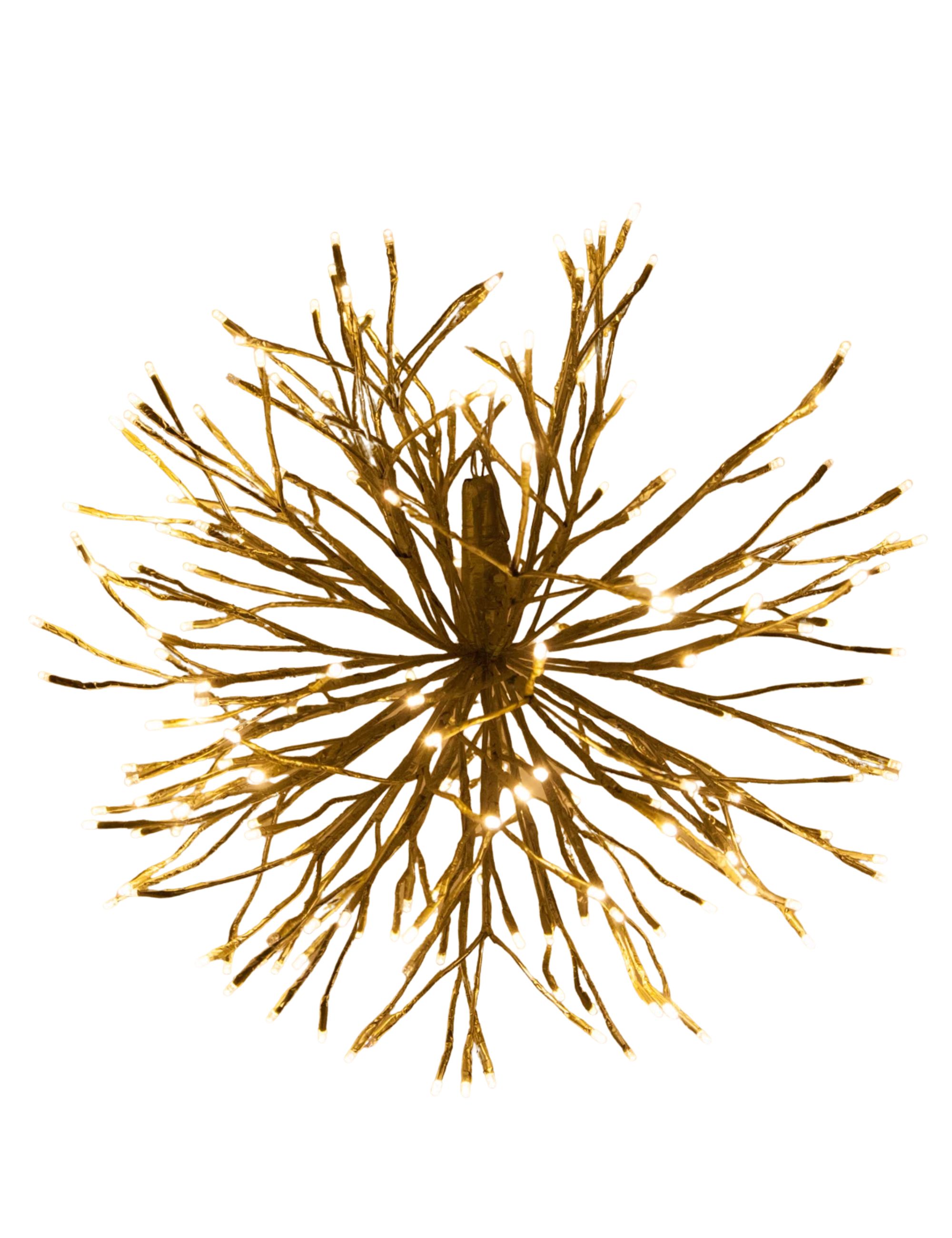 The Holiday Aisle® Led Starburst Light