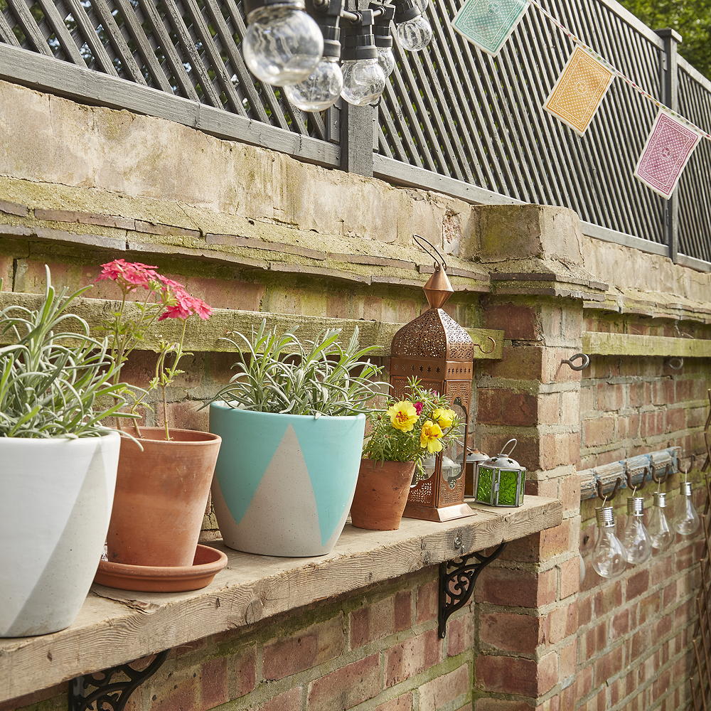 potted plants on wall shelf in garden