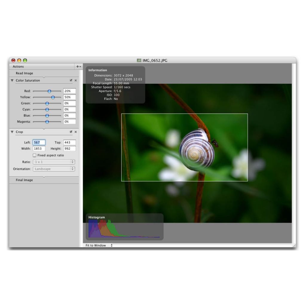 PhotoComplete image: Cropping a picture to get a closer, more composed look.