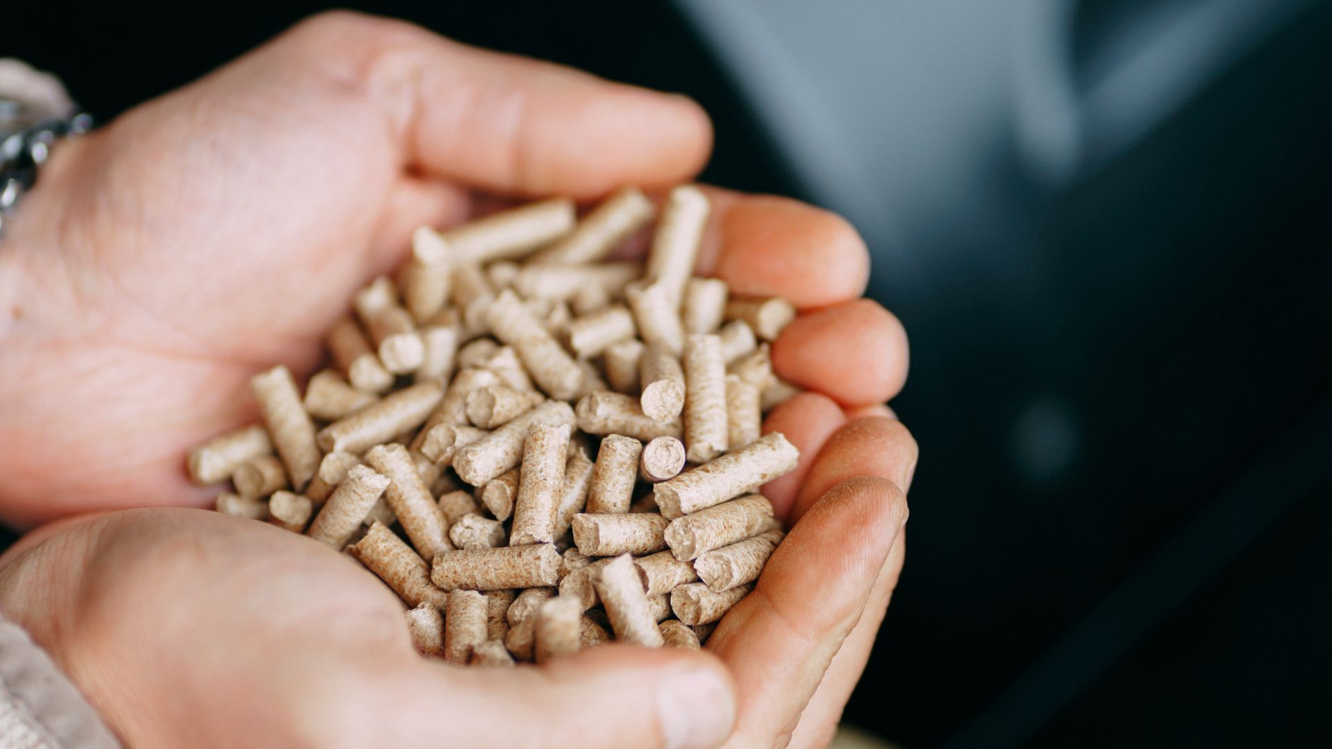 picture of person holding wool pellets in their hands