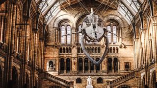 Natural History Museum