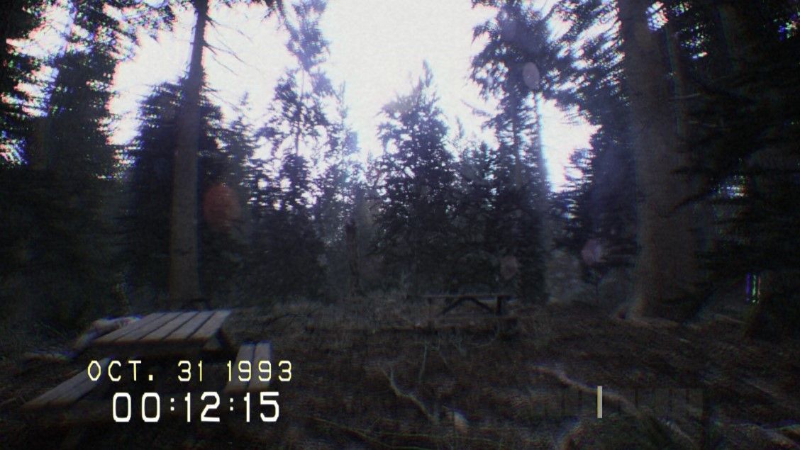 A screenshot of in-game footage from Don&#039;t Screen, showing Pineview Forest in the day.