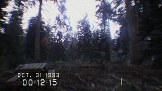 A screenshot of in-game footage from Don't Screen, showing Pineview Forest in the day.