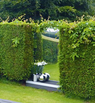small garden mirror placed into a hedge, in front of a grass lawn