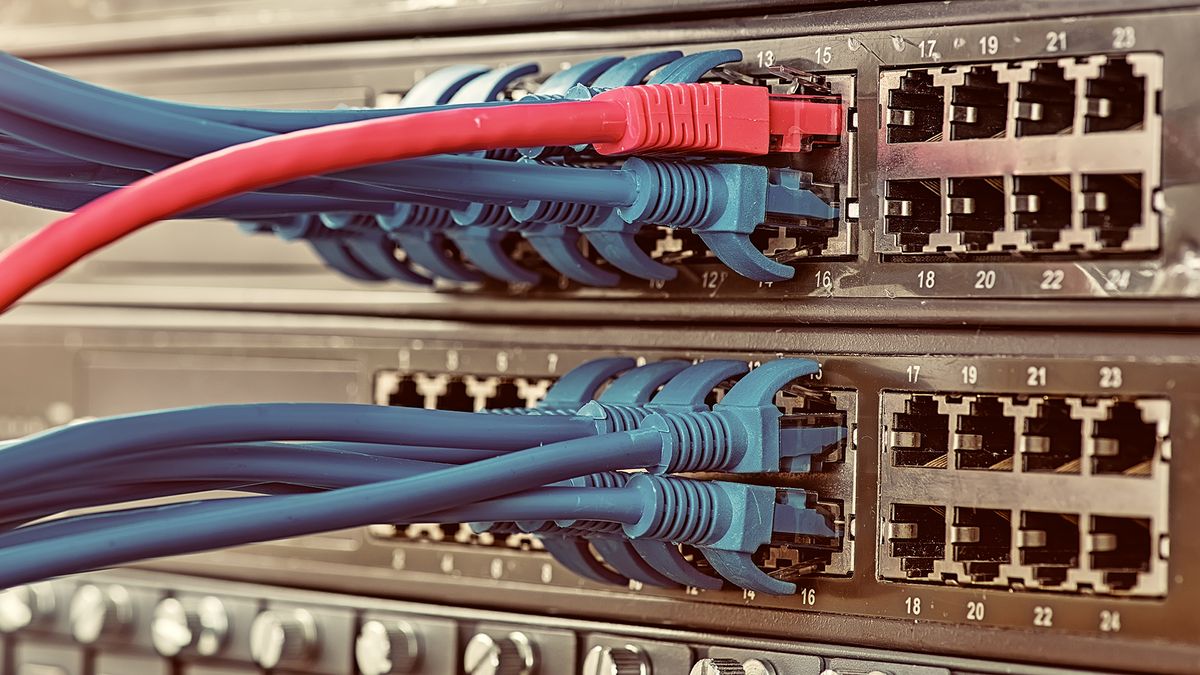 Network cables connected to a router