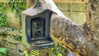 Technaxx Bird Feeder Camera hanging from tree in garden