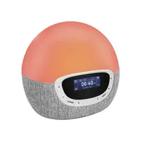 Lumie Bodyclock Shine 300 | $159 at Amazon