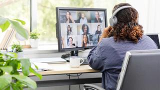 Telecommuting from her home office, the unrecognizable woman joins a virtual work meeting.