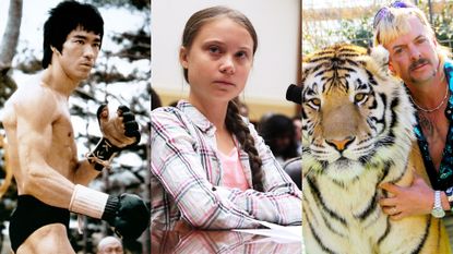 Tiger, Bengal tiger, Felidae, Wildlife, Big cats, Siberian tiger, Carnivore, Terrestrial animal, Adaptation, Organism, 