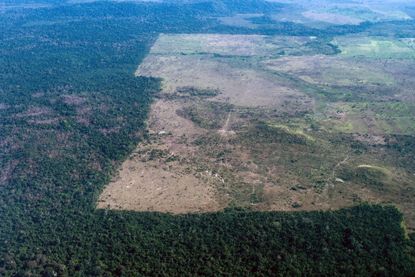 Deforestation in northern Brazil