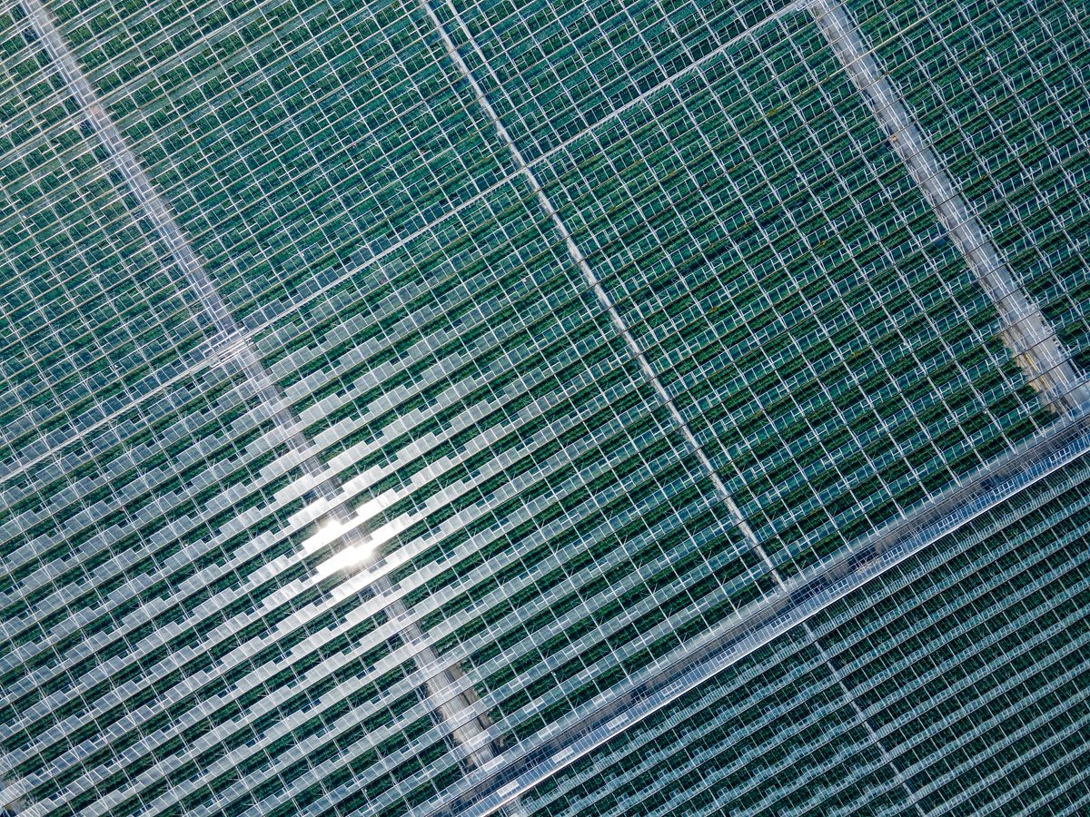 DJI Mavic Air 2 stills image quality