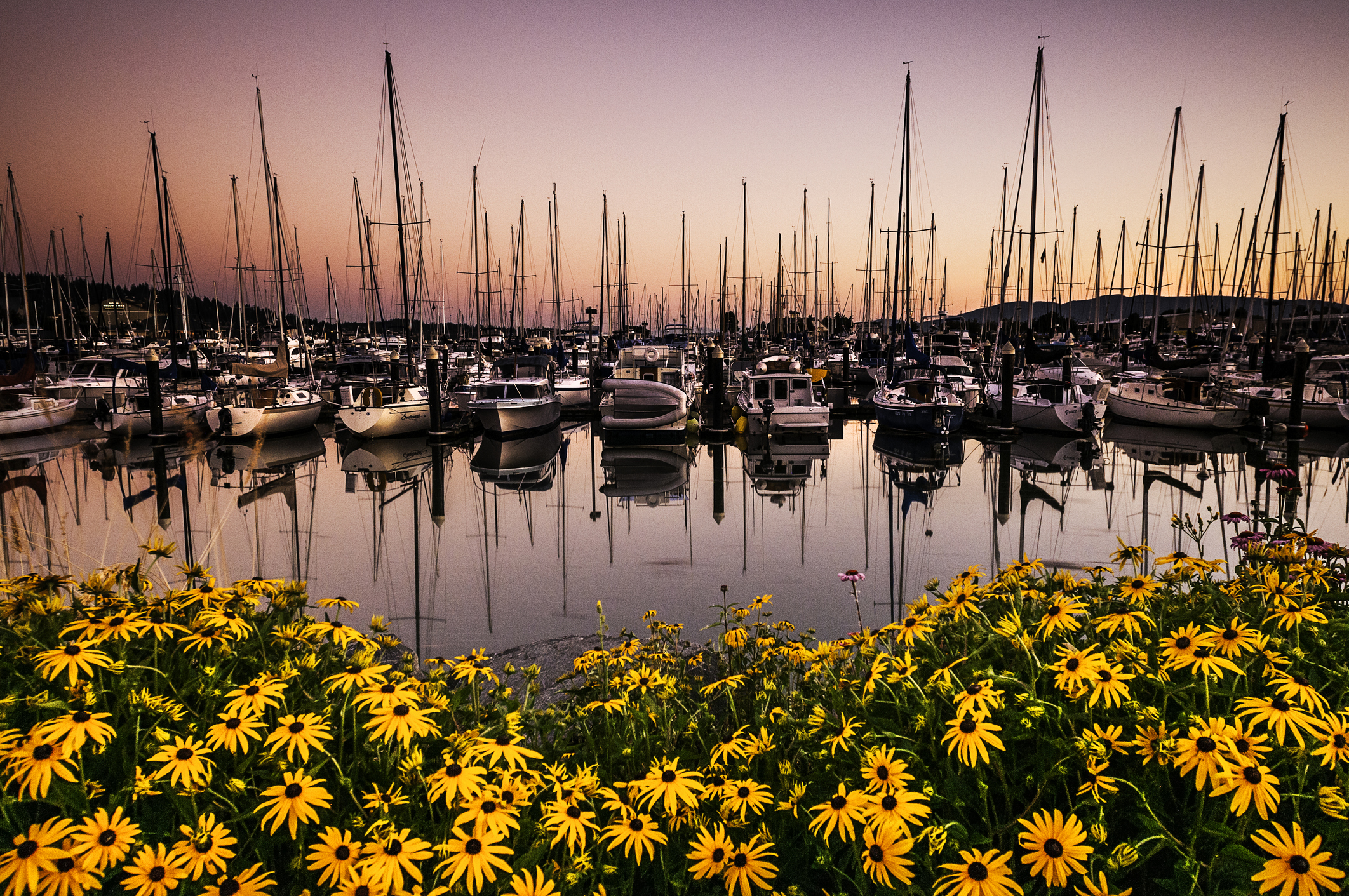 &amp;copy; Paul Conrad/Pablo Conrad Photography - Sunset at Locust Beach and Squalicum Harbor in Bellingham, Wash., on Tuesday evening July 15, 2014.