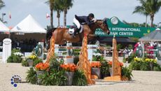 McLain Ward and Catoki during their winning round or an Alan Wade designed course