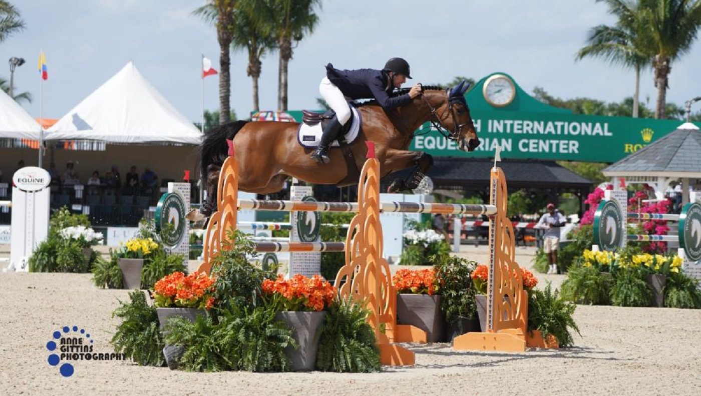 McLain Ward and Catoki during their winning round or an Alan Wade designed course
