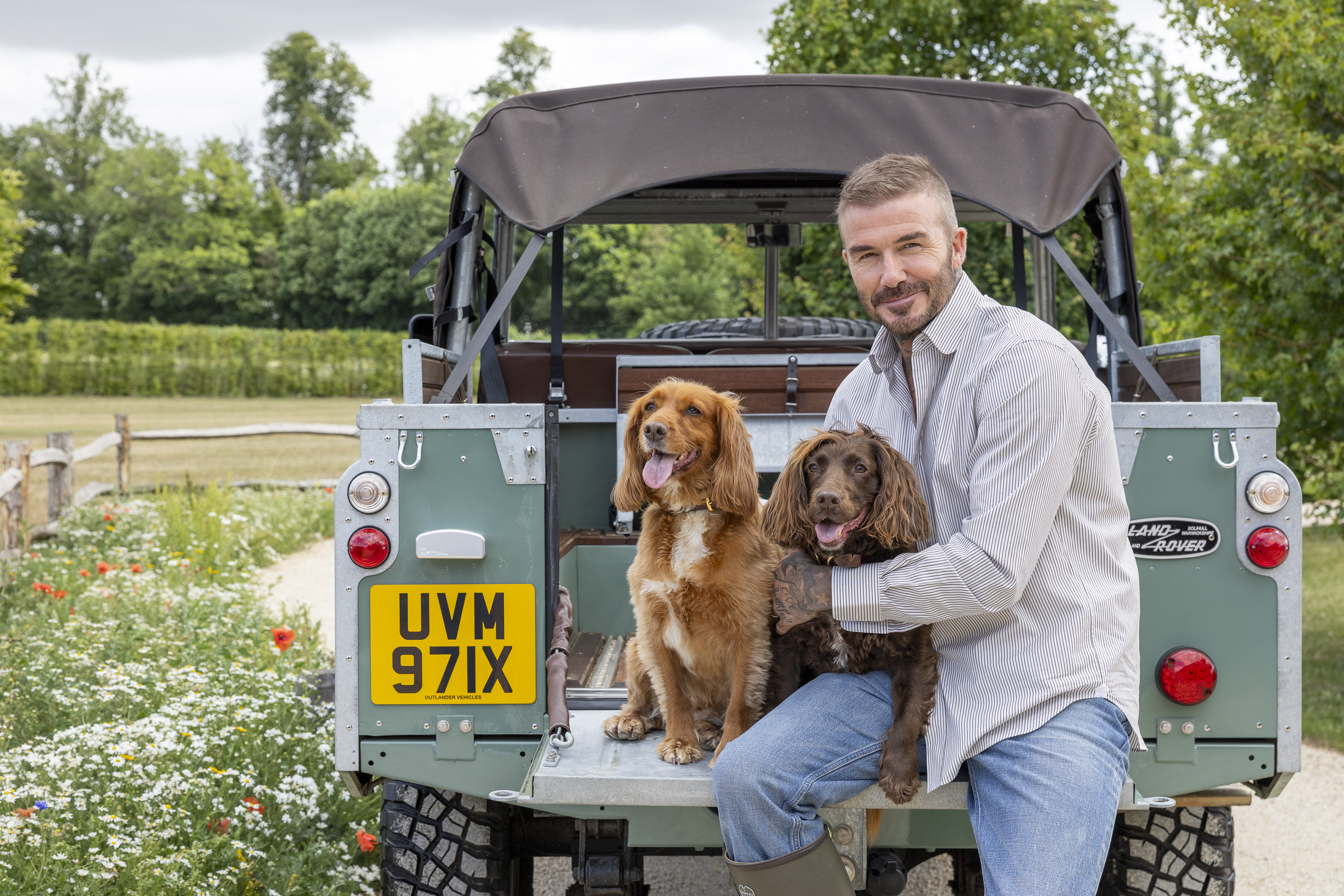 Sir David Beckham pictured outdoors at his countryside home with his two Cocker Spaniels. In one image, he sits on the back of a vintage green Land Rover with the dogs beside him; in another, he kneels on the grass holding a shepherd’s crook as the dogs play nearby. A third image shows him seated on a wooden bridge by a lake surrounded by lavender, while the final image captures him sitting on garden steps lined with purple flowers, wearing a burgundy jumper, with the spaniels by his side. The series conveys a warm, rural, and relaxed countryside setting.