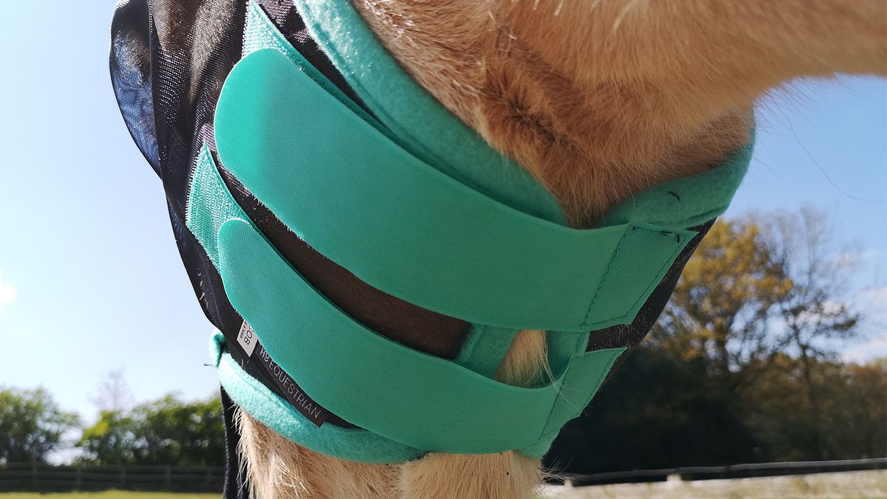 Hy Equestrian Mesh Half Mask from below