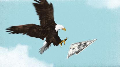 Bald eagle catching a paper plane made out of dollars