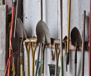 Clean garden tools neatly stored