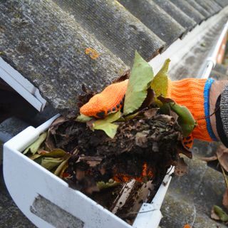 Leaves being cleared from gutters