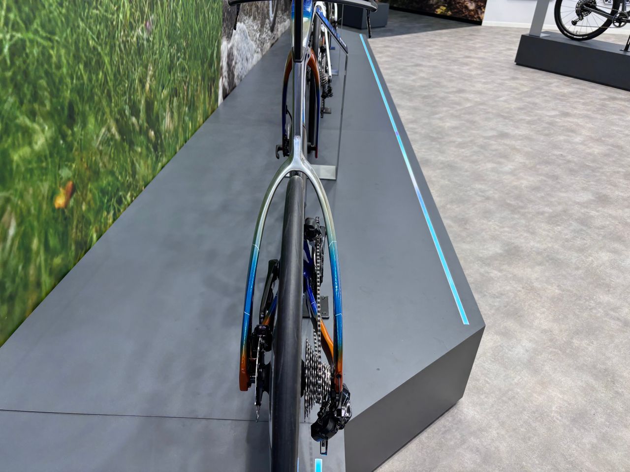 The Giant Trinity Disc in Jayco AlUla colours
