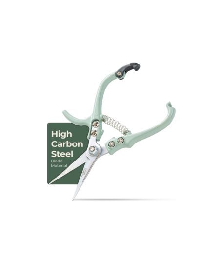 Garden Snips
