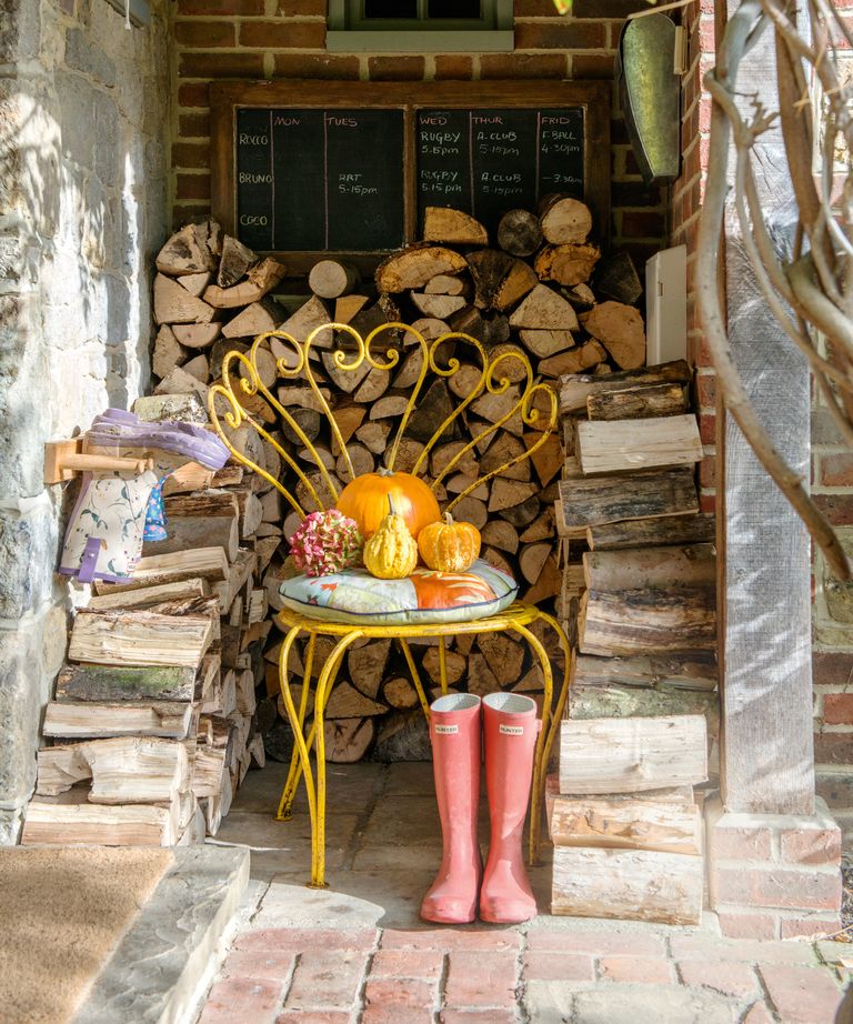 Experts share tips to help you get rid of bugs from firewood Homes