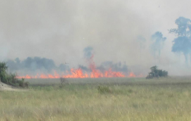 NEW BOTSWANA Bushfire