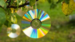 Shiny CD hanging from a tree branch in sunlight