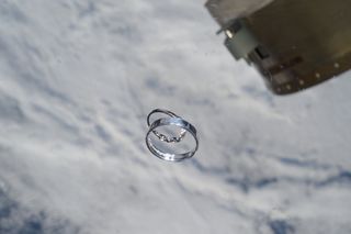 Wedding rings on the ISS