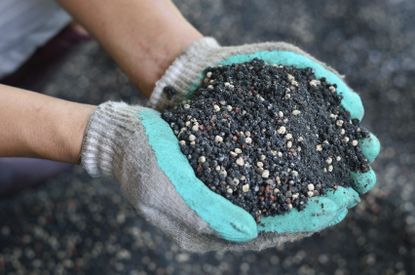Gardener With Gloves Holding Soil Full Of Nutrients